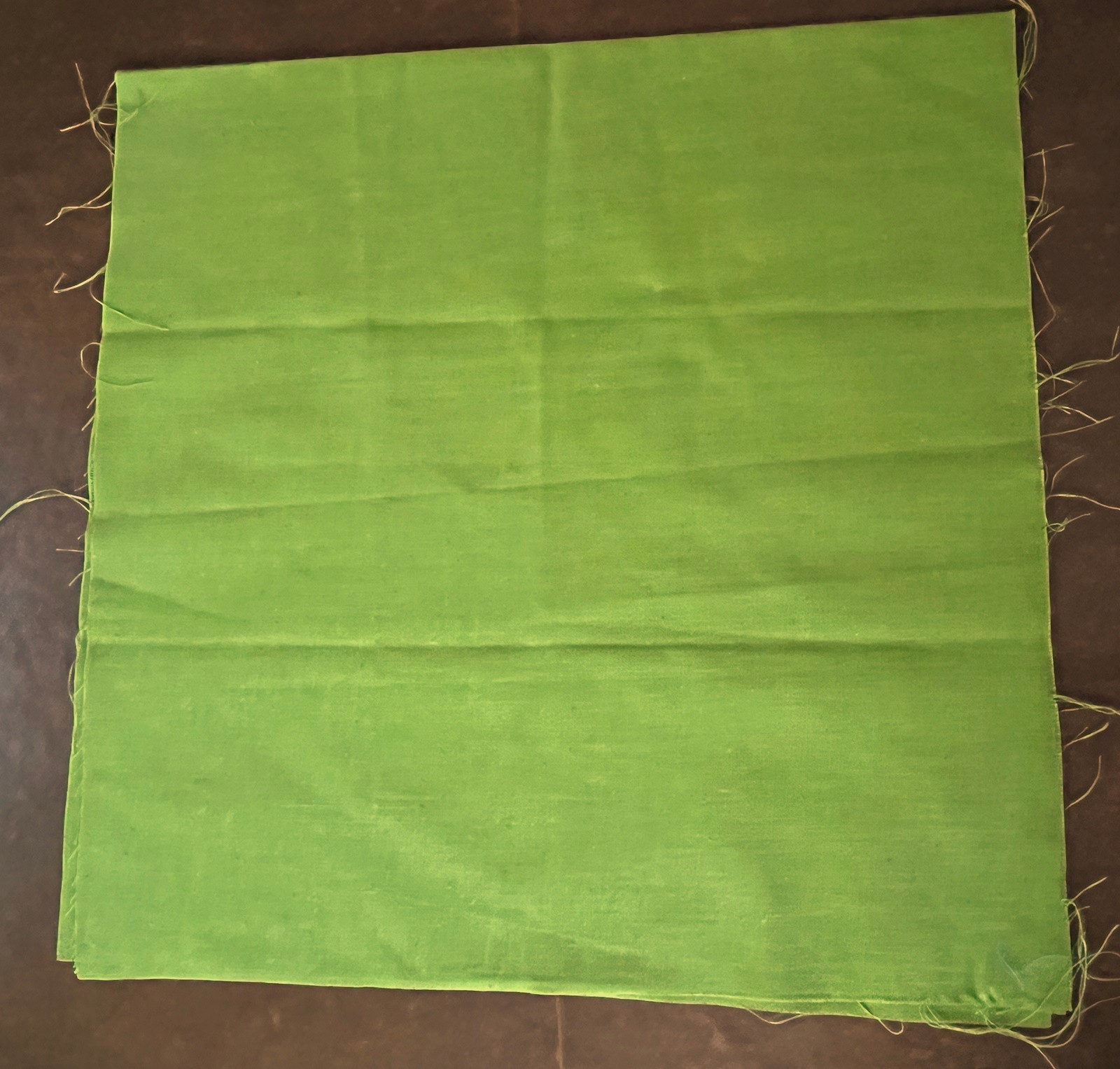 Vtg Green Linen Butterfly Pillow Cover Stamped for Embroidery Crewel Needlepoint