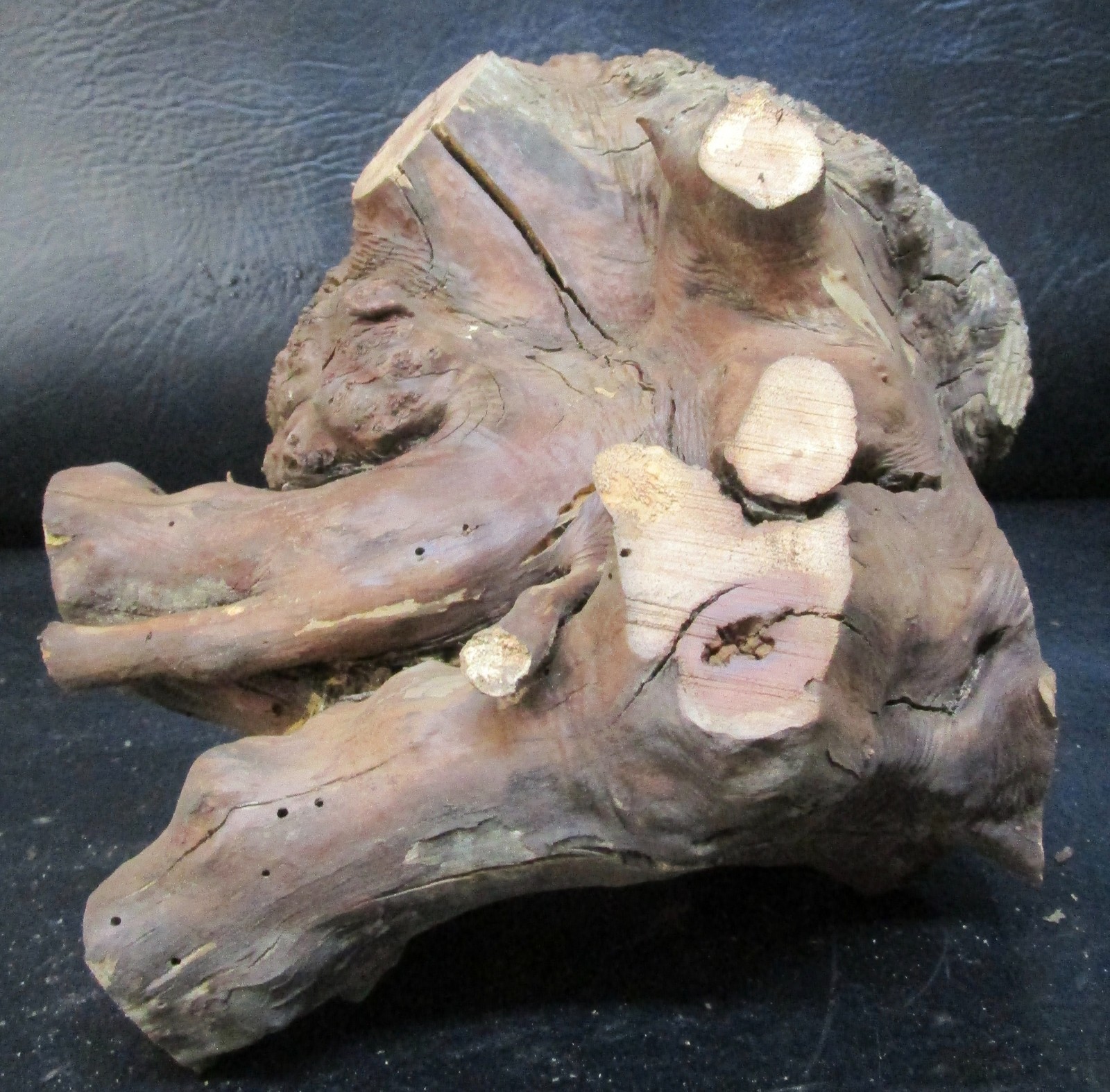 manzanita burl wood #D715 7 1/2″Lx 7 3/4″W x 6 1/2″at the tallest point