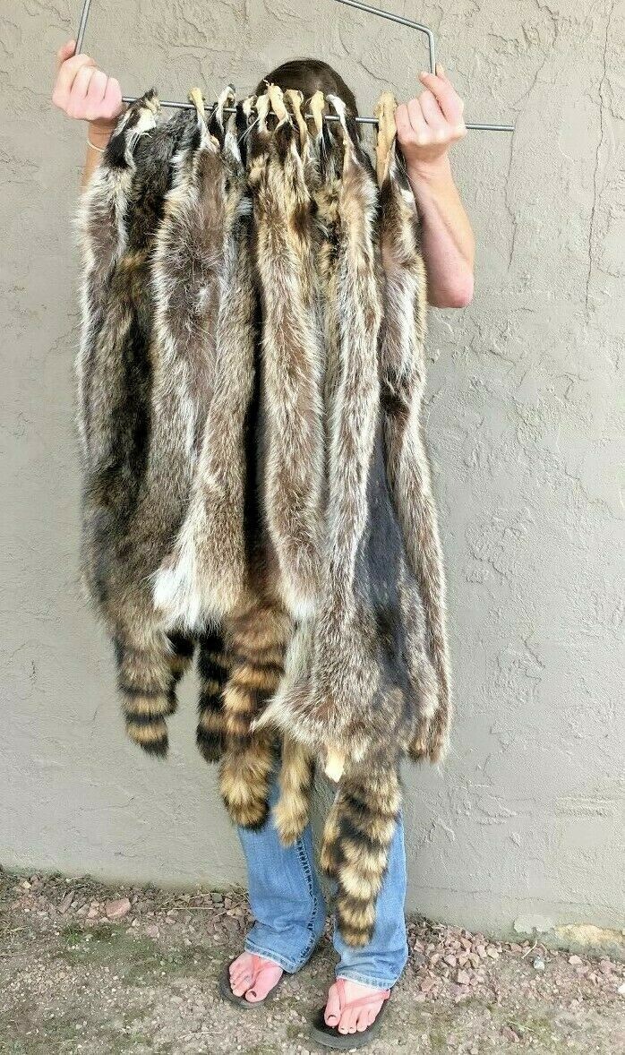 Soft Tanned Raccoon Medium Grade