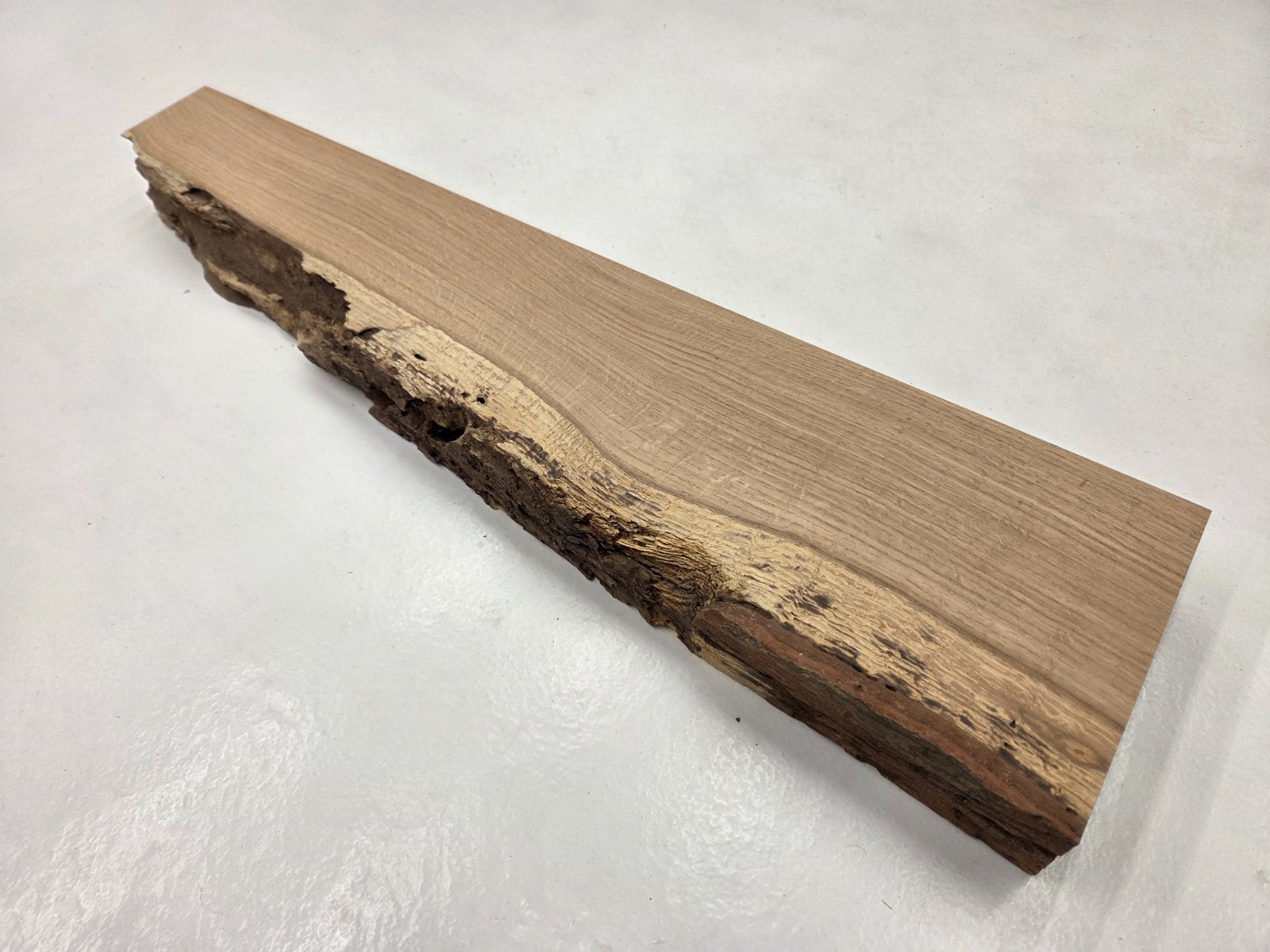 28″ AWESOME! UNIQUE! Red Oak Live-edge Slab Lumber Kiln-dried Wood