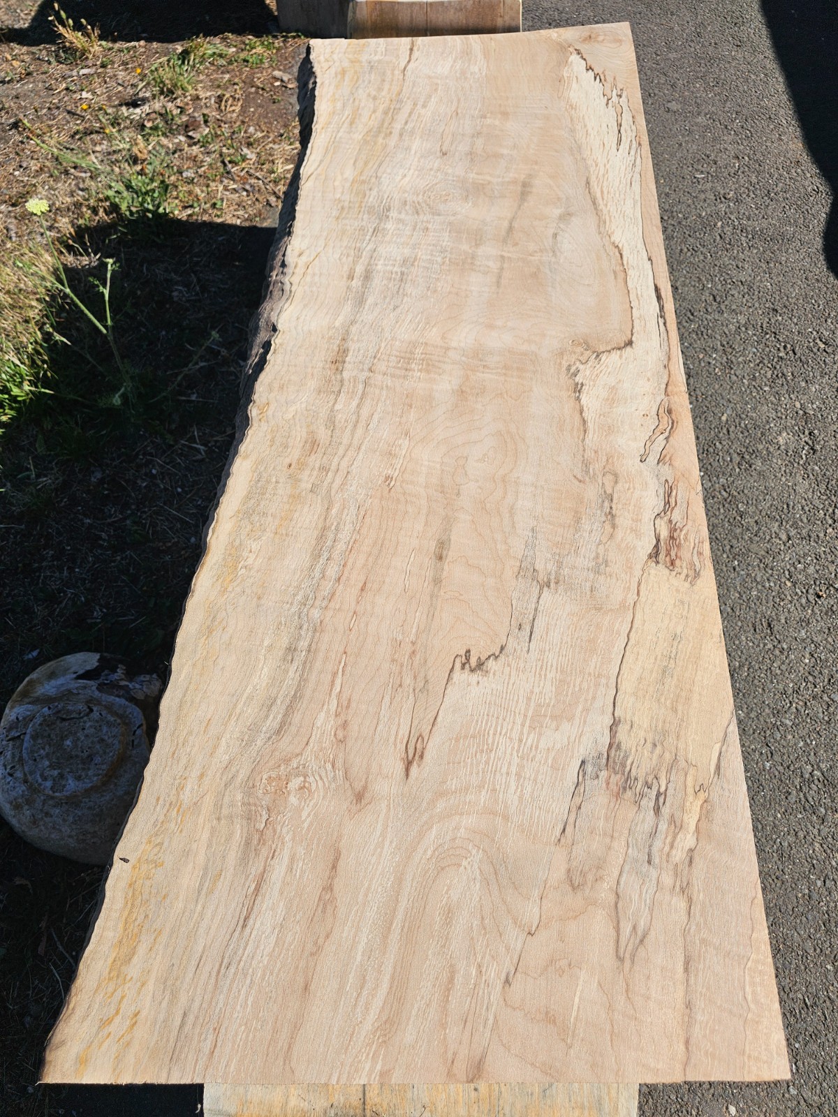 Live Edge Spalted Maple Slab Table Top 1 Inch Thick