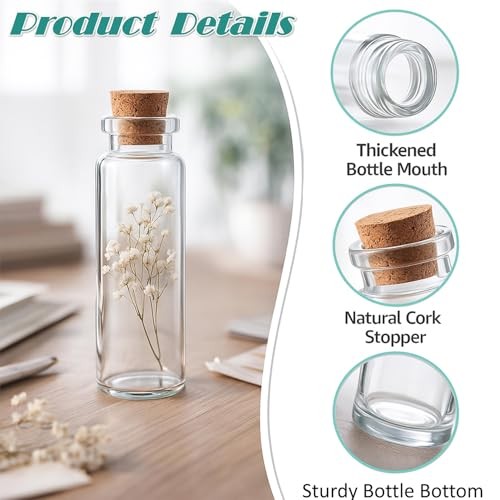 10Packs 20ml Small Clear Glass Bottles with Corks Mini Transparent Vials with