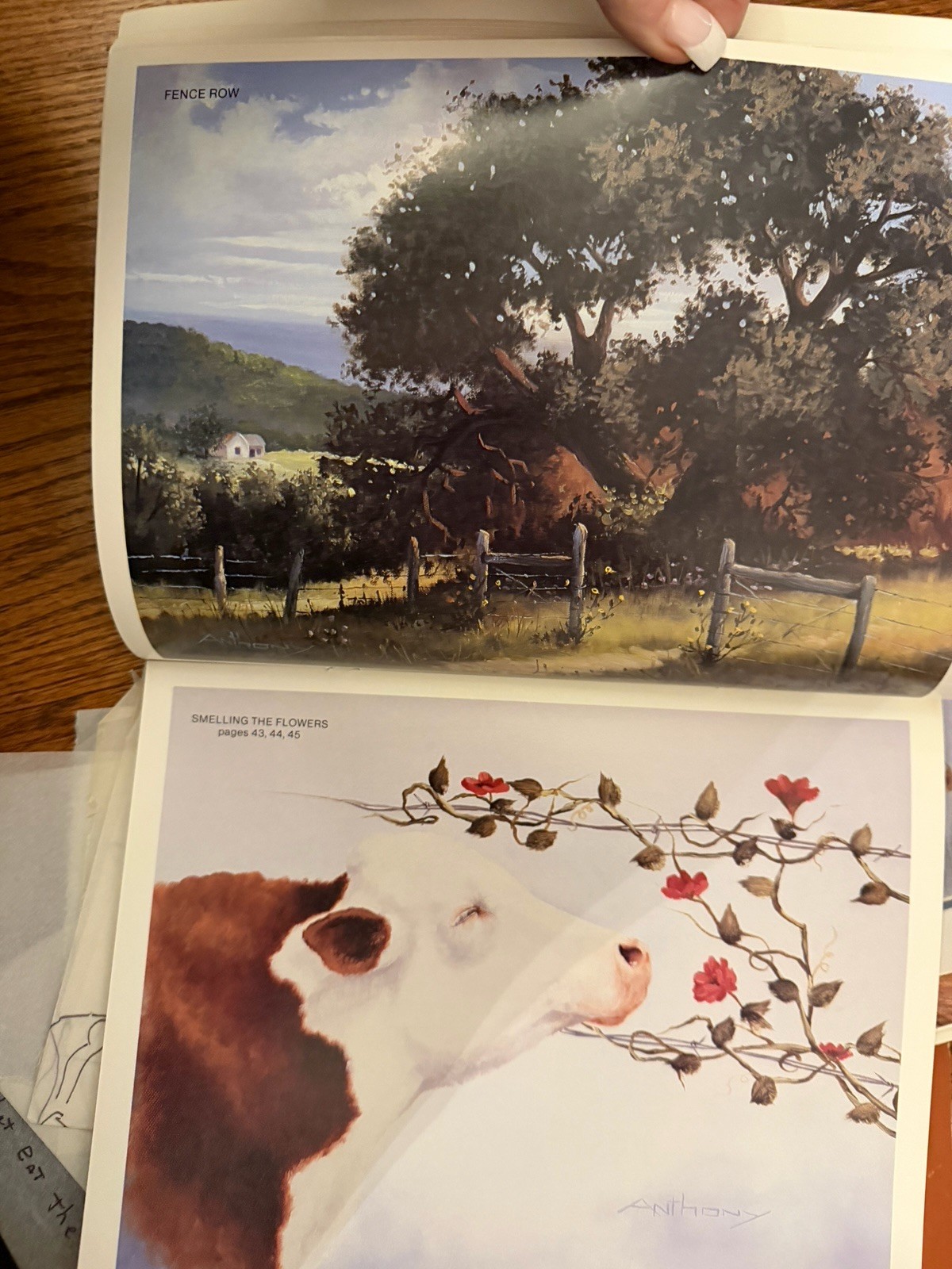 Susan Scheewe Presents Watercolor & Animal Painting Lot (8) 1983–1992