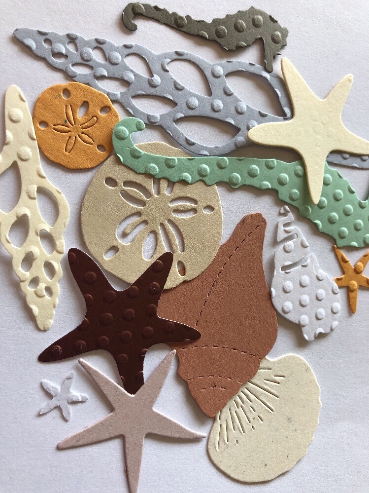 BEACH THEMED DIE-Cuts(12pc) Seahorse•Shells•Ocean•Starfish•Sea •Sand Dollar•Sand