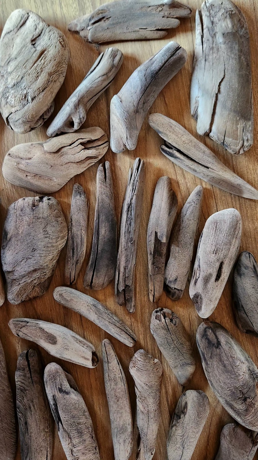 35 Small to Medium Beautiful Lake Superior Driftwood for Creative Projects