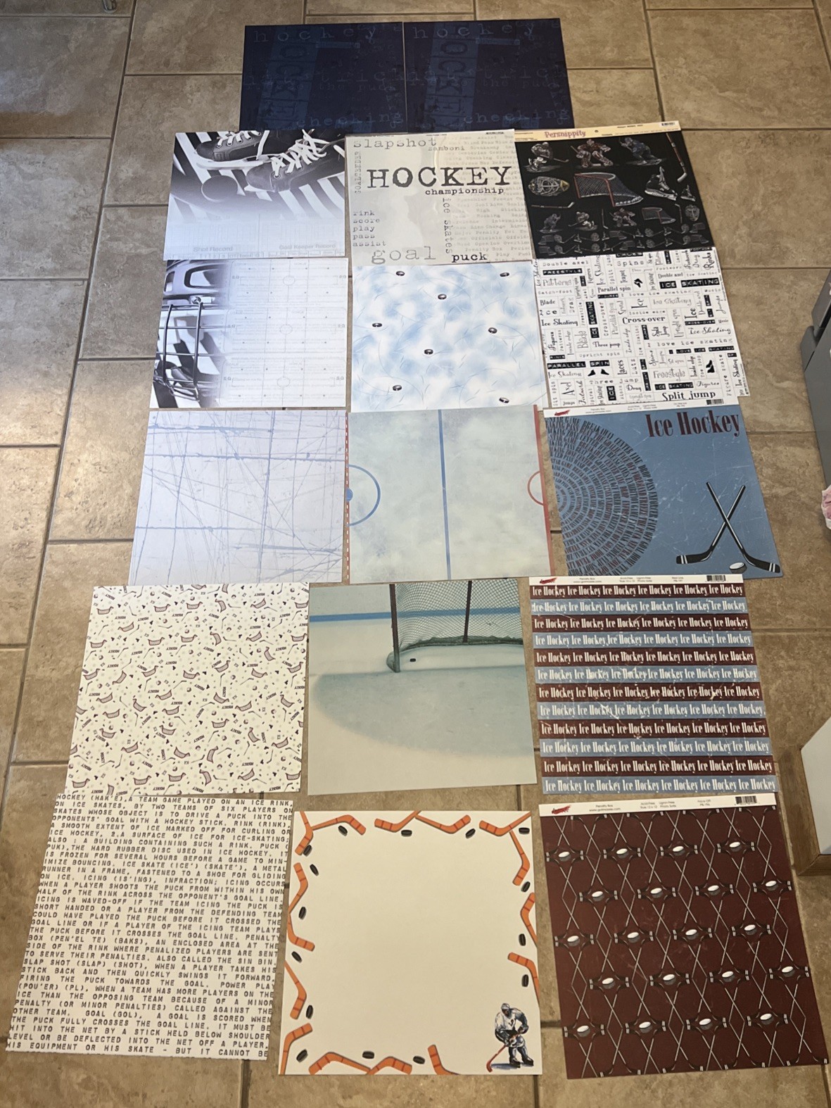 12×12 Single Sided Paper Lot (18)~ Hockey…..Ice Rink