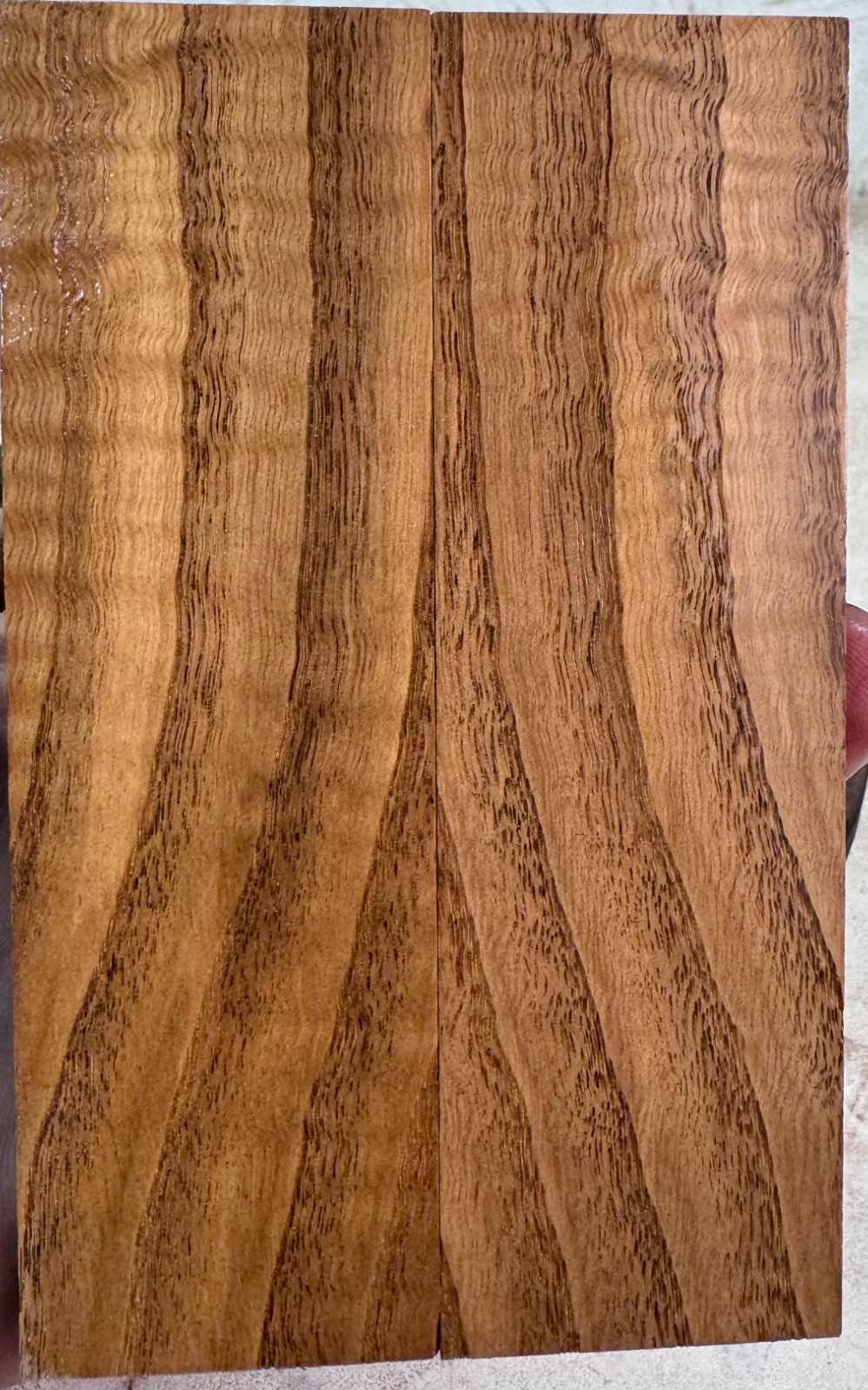 Stabilized American Chestnut Knife Scales | SAC 171