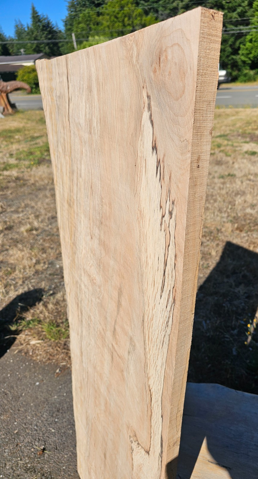 Live Edge Spalted Maple Slab Table Top 1 Inch Thick