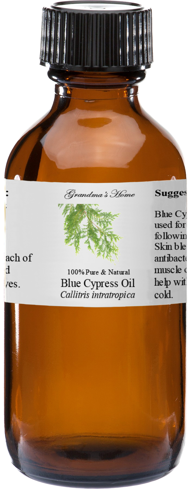 Blue Cypress Essential Oil 4 oz – 100% Pure – Therapeutic Grade – Grandma’s Home