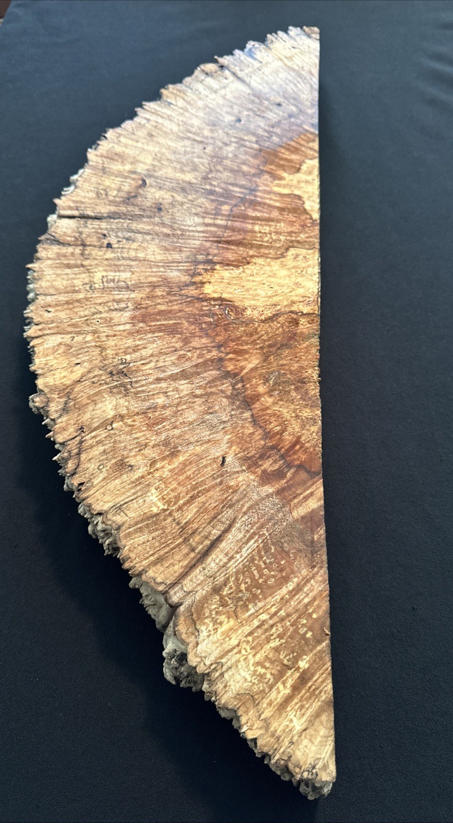Spalted Maple Burl, Live Edge, 26” Long, 8 3/4” Wide, 2 3/16” Thick, Dry