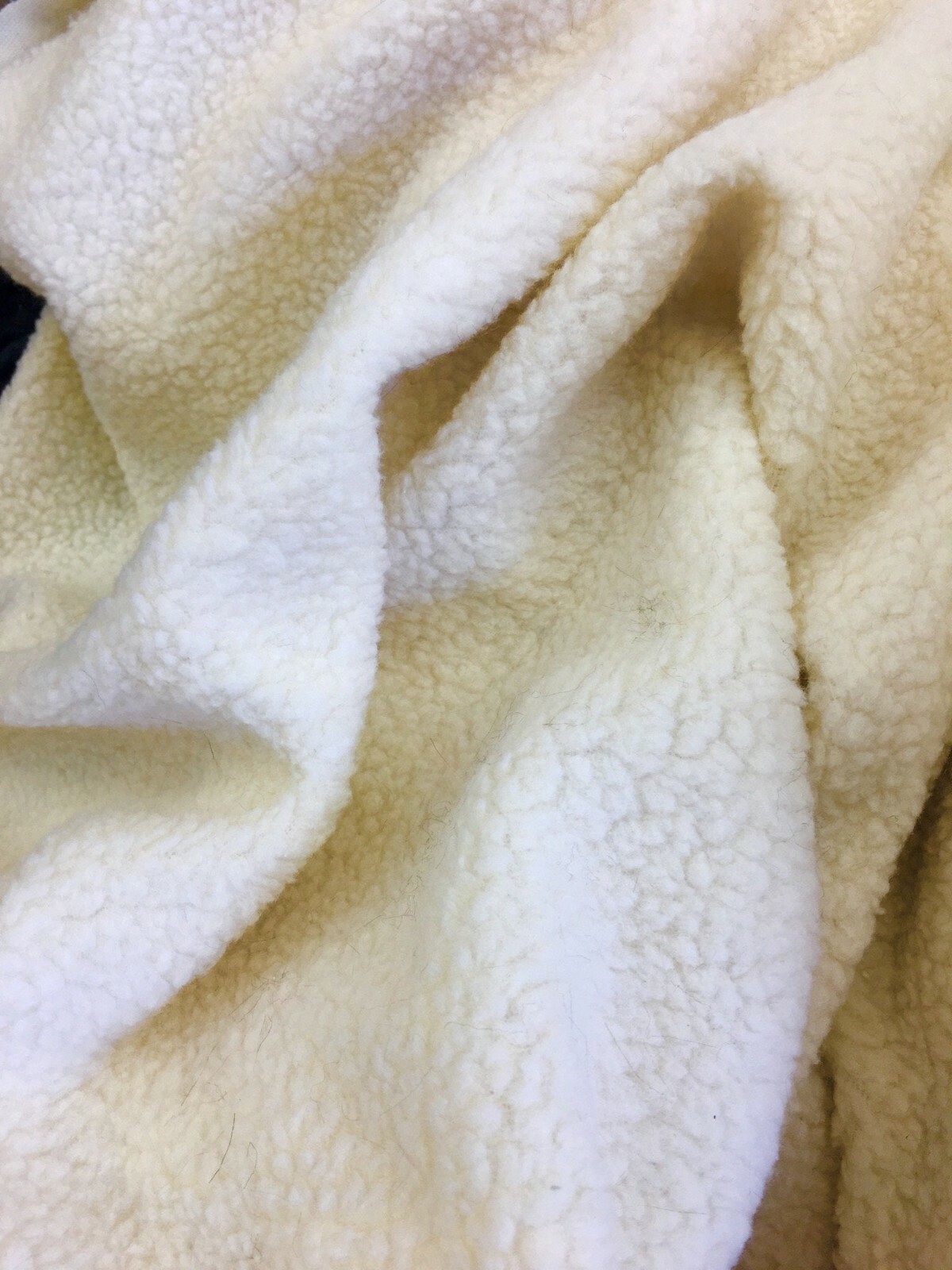 Ivory Soft Cuddle Sherpa Fleece Lamb Wool Design Fabric Sold by The Yard