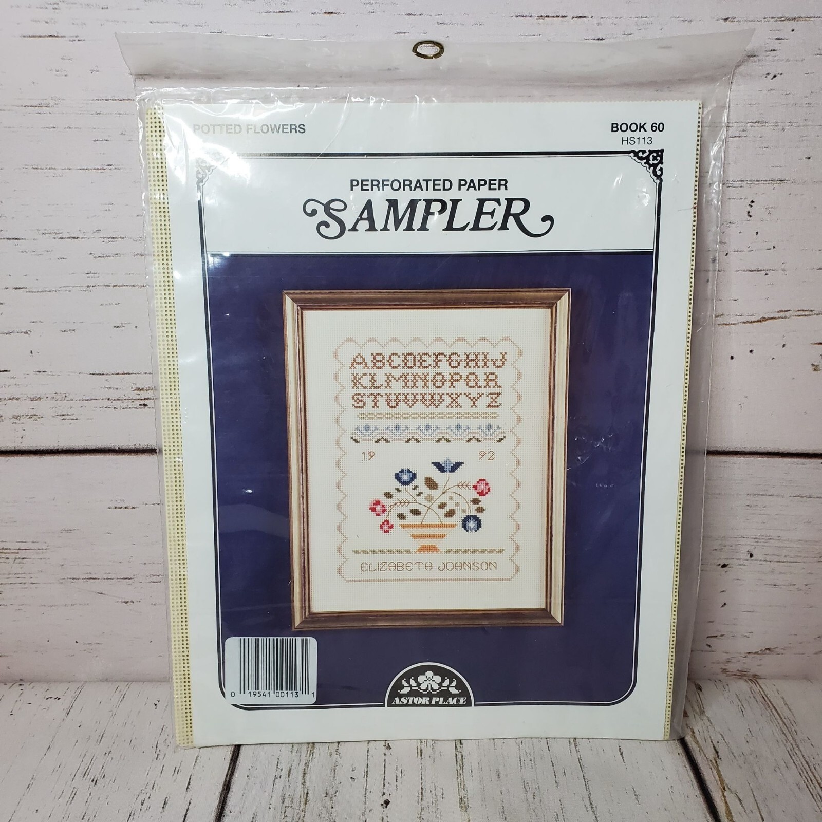 Astor Place Perforated Paper Sampler Kit Book 60 HS113 Potted Flowers Design